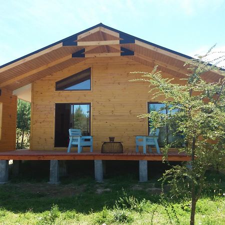 Cabanas Rincon Del Sur Cochrane Ngoại thất bức ảnh